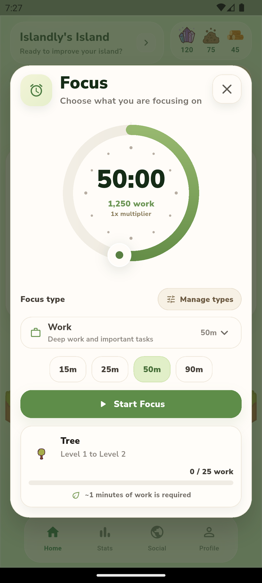 Islandly focus session screen